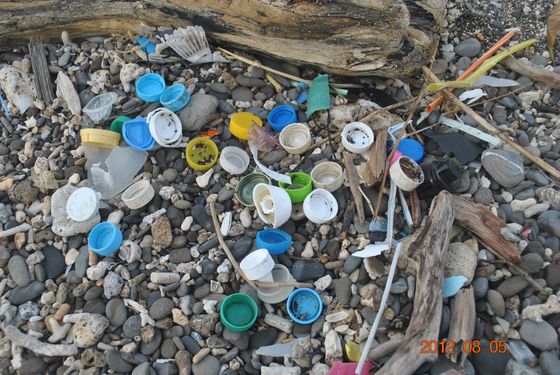 海洋垃圾中有許多塑膠製品 楊美雲攝
