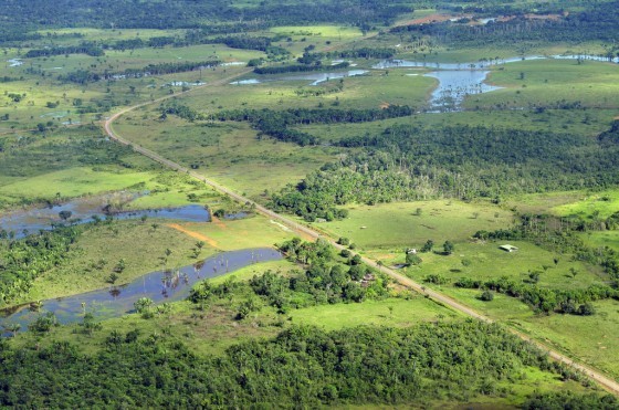 原本是雨林覆蓋的地區，快速被一塊又一塊的牧草用地取代，改變地表的同時也影響氣候。(圖片來源：Flickr用戶 CIAT International Center for Tropical Agriculture)