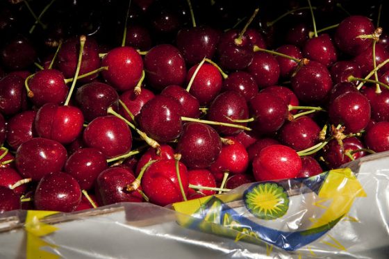摘櫻桃（cherry picking）：只有好的水果（顯著的統計結果）會挑選被大家看到，不好的／不顯著的則被忽略。圖／Oregon Department of Agriculture @ Flickr