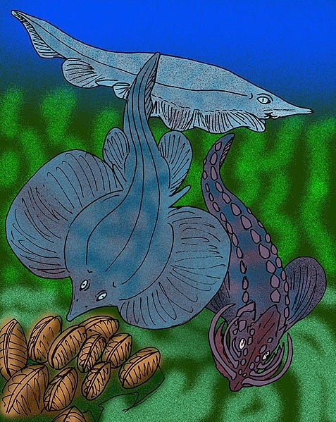  這些魚的後代和很多二疊紀的生物一樣，沒能逃過二疊紀末的生物大滅絕。