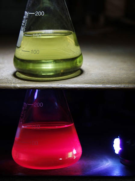 Fluorescence_of_chlorophyll_under_UV_light