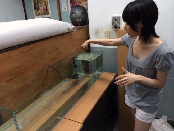 ▲李貝珊正在說明自製設備如何測試蝌蚪的游泳耐力。