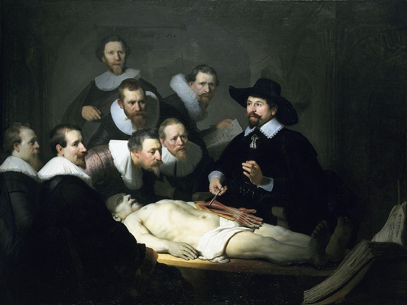荷蘭畫家林布蘭（Rembrandt van Rijn，西元1606 年∼西元 1669 年）的作品〈杜爾博士的解剖學課〉（The Anatomy Lesson of Dr. Nicolaes Tulp）。杜爾是荷蘭的醫生與阿姆斯特丹的市長。