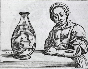 在西元1638年，歐洲就有使用水蛭治療的記錄