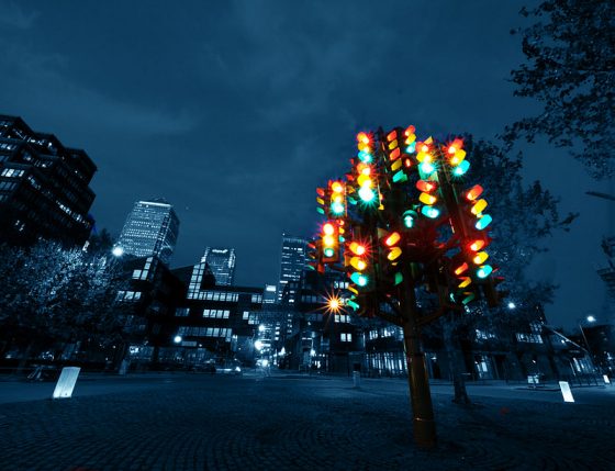 Traffic light tree. Credit: William Warby