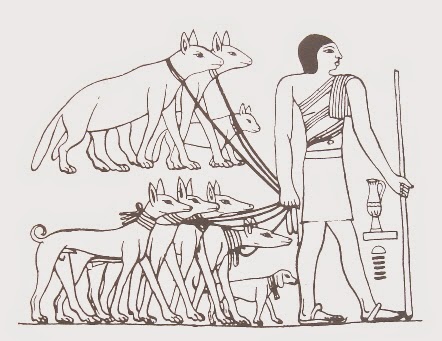 狗把人類當朋友，還是當「領頭犬」呢？圖為埃及人養的狗Tesem。 圖片來源：維基百科