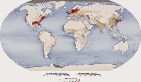 全球死亡海域熱區。圖片來源：wiki
