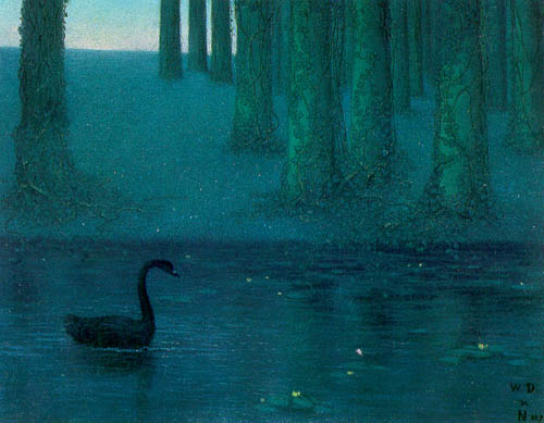 《The Black Swan》，1896, by William Degouve de Nuncques