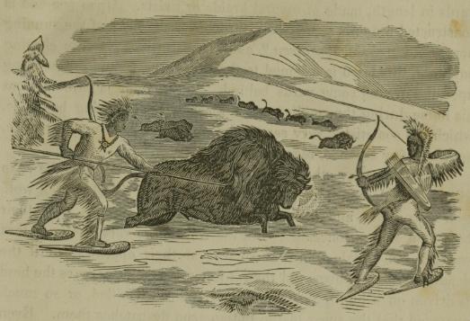 Indians_Hunting_Buffalo_in_the_Winter