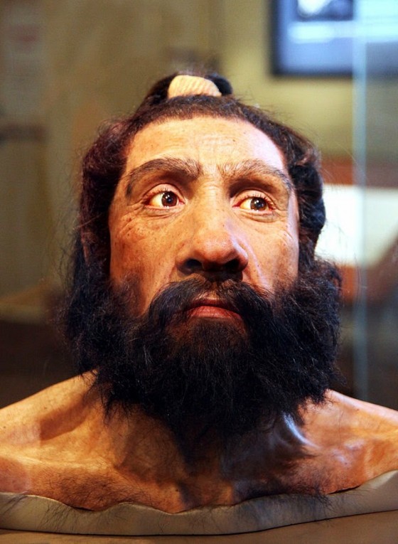 640px-Homo_neanderthalensis_adult_male_-_head_model_-_Smithsonian_Museum_of_Natural_History_-_2012-05-17