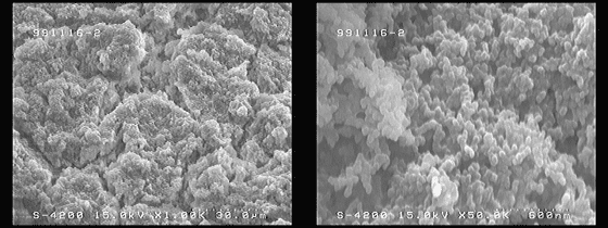 防汙塗料在微米（左）和奈米（右）尺度的SEM圖
