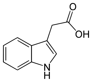 indole-3-acetic acid.  credit:wiki