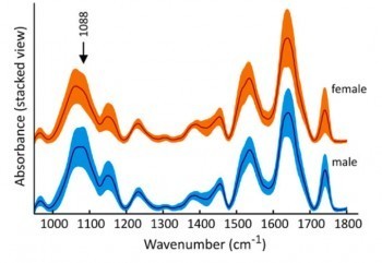紅外線光譜儀分析雞蛋DNA（圖片來源）