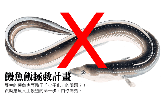 eel-issue