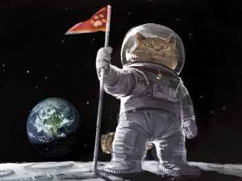 Ami_Thompson_original_cat_space_planets_humor_800x600