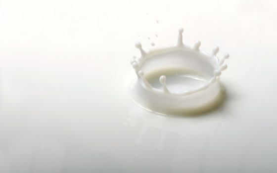 牛奶，PanSci