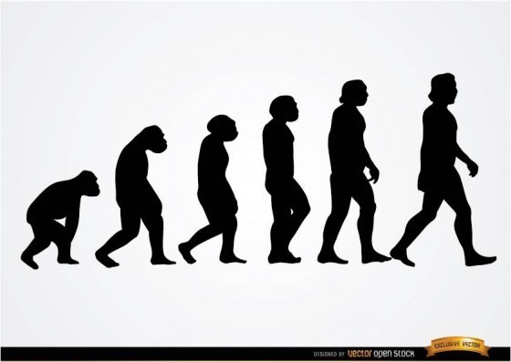 演化真的是直線進行的嗎？（Photo via Vector Open Stock@Flickr, CC License）