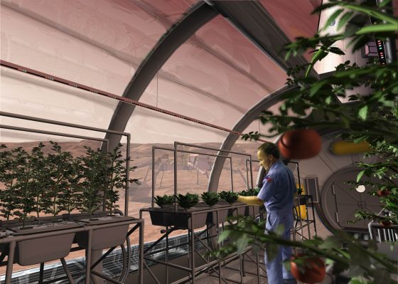 potatoes_in_space_greenhouse