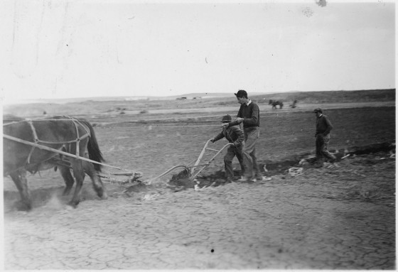 Plowing_with_a_horse_drawn_plow_in_an_irrigated_garden_in_Porcupine_District_-_NARA_-_285841