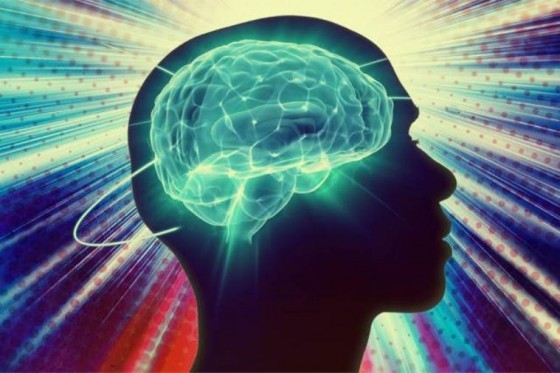 human-brain-activity