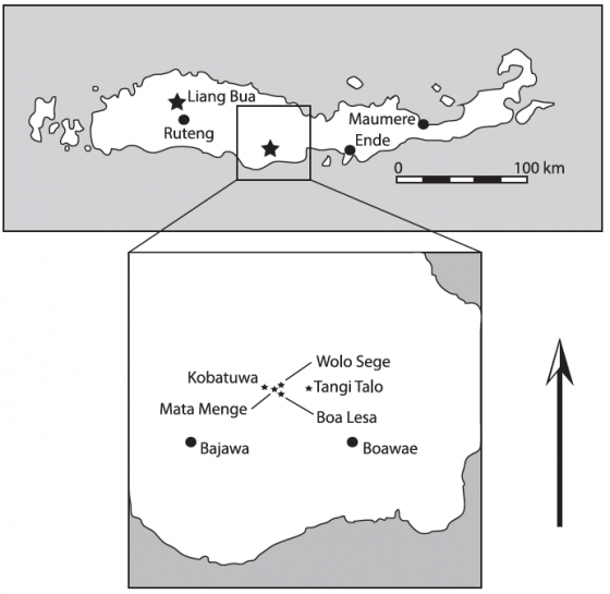 佛洛勒斯島上的遺址位置，佛洛勒斯人在西邊的Liang Bua出土，島中部的Mata Menge發現80餘萬年前的石器，附近的Wolo Sege則找到100多萬年前的石器。（取自ref2）