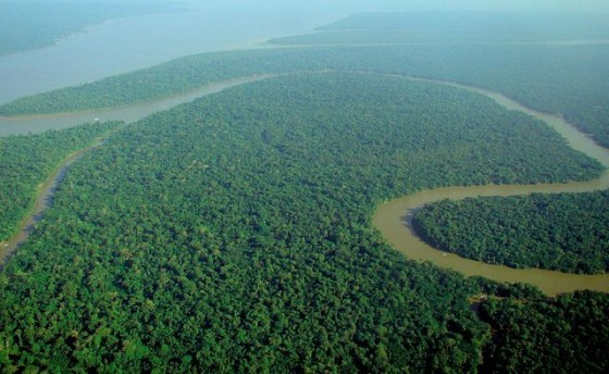 640px-Aerial_view_of_the_Amazon_Rainforest