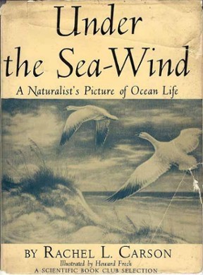 第一本書《海風之下》（圖片來源）。