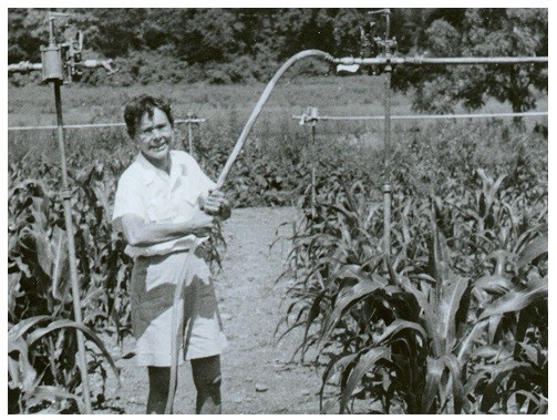 麥克林托克和她在冷泉港的玉米田(圖片來源)