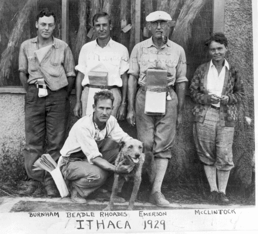 1929年，麥克林托克（右一）和同事的合照（圖片來源）