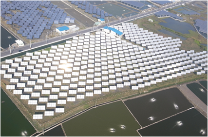 分散式太陽光發電場總裝置。照片提供：晁成虎