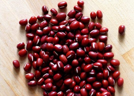 azuki-beans-1093168_1280