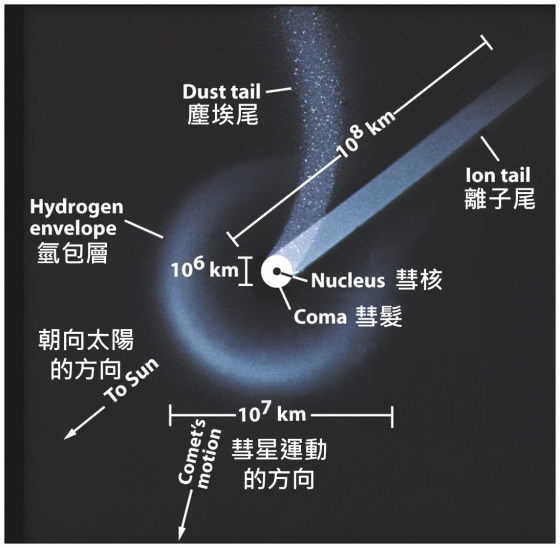 彗星的結構（經修改加上中文）。圖 / http://spot.pcc.edu/~aodman/GS%20107%20web/outerobject/comet%20and%202%20tails.jpg