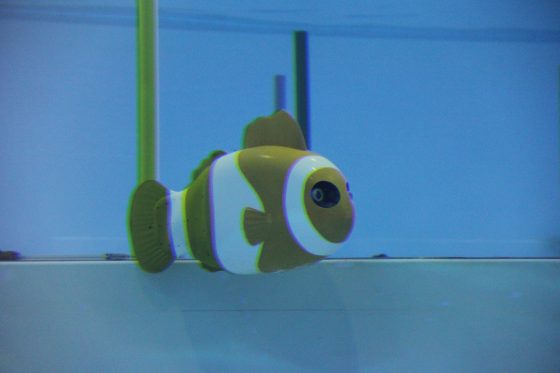 Nemo，主要的功能是在海科館中與觀眾進行互動，是水中的服務型機器人。圖／親子天下提供