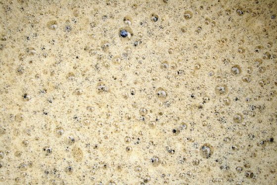 啤酒發酵過程中產生的氣泡。為什麼發酵的結果有好有壞？ 哪種酵母最好用？圖 / By Ildar Sagdejev, GFDL, wikimedia commons