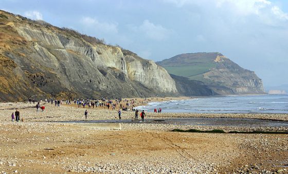 英格蘭南部多塞特（Dorset）地區沿岸的海邊小鎮來姆利吉斯（Lyme Regis），也是瑪莉安寧發現許多侏儸紀時代化石的海岸。圖／By Kevin Walsh - originally posted to Flickr as jurassic, CC BY 2.0, https://commons.wikimedia.org/w/index.php?curid=9997986