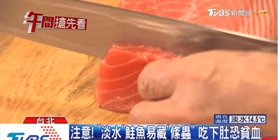 吃鮭魚生魚片可能有感染絛蟲的危機，讓你不敢吃生魚片了嗎？圖／擷取自TVBS新聞畫面。