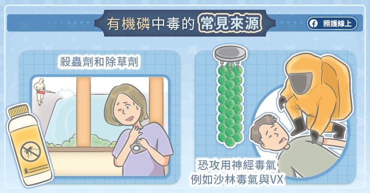 有機磷中毒的常見來源