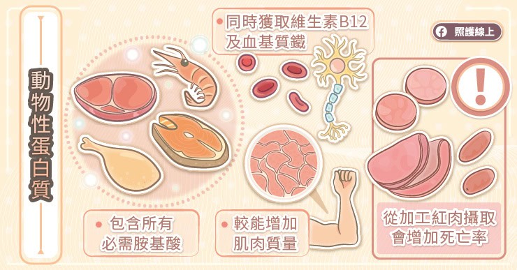動物性蛋白質