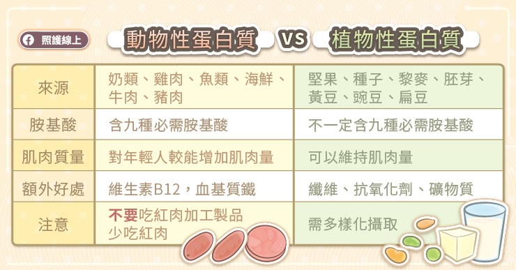 動物性蛋白質VS植物性蛋白質