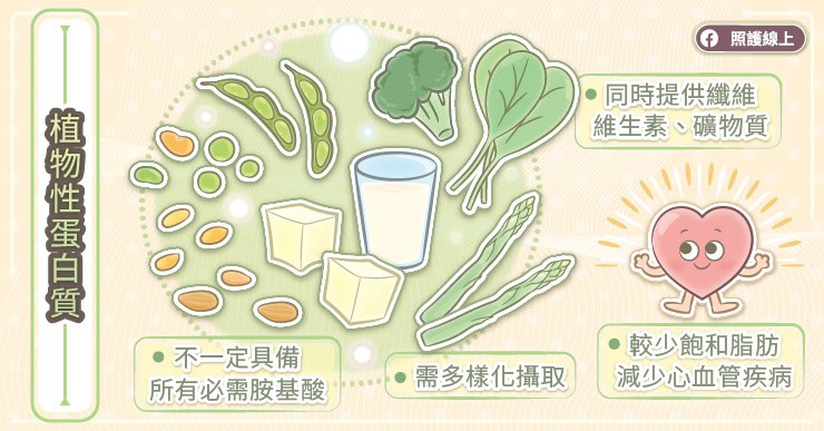 植物性蛋白質