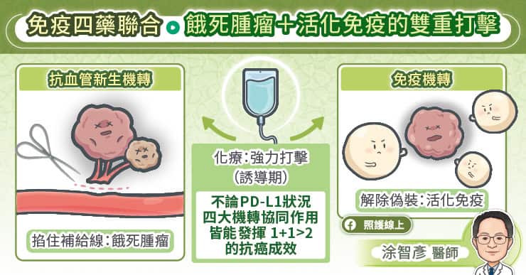 免疫四藥聯合