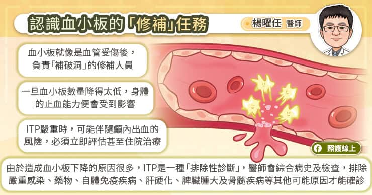 認識血小板的修補任務