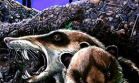 (圖片引自原文)