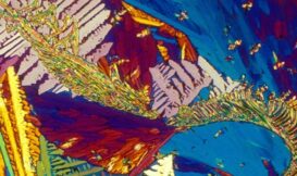 American Pale Ale 小編覺得很像身在海裡的感覺