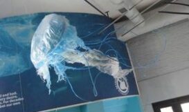 塑膠袋做的水母提醒海洋垃圾的嚴重性 陳勇輝 攝