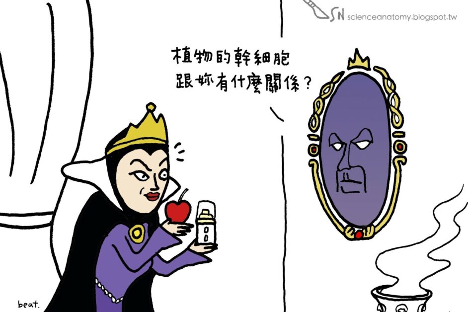 幹 細胞真的能用來養顏美容嗎 從諾貝爾獎到梳妝台之間的蟲洞 Pansci 泛科學