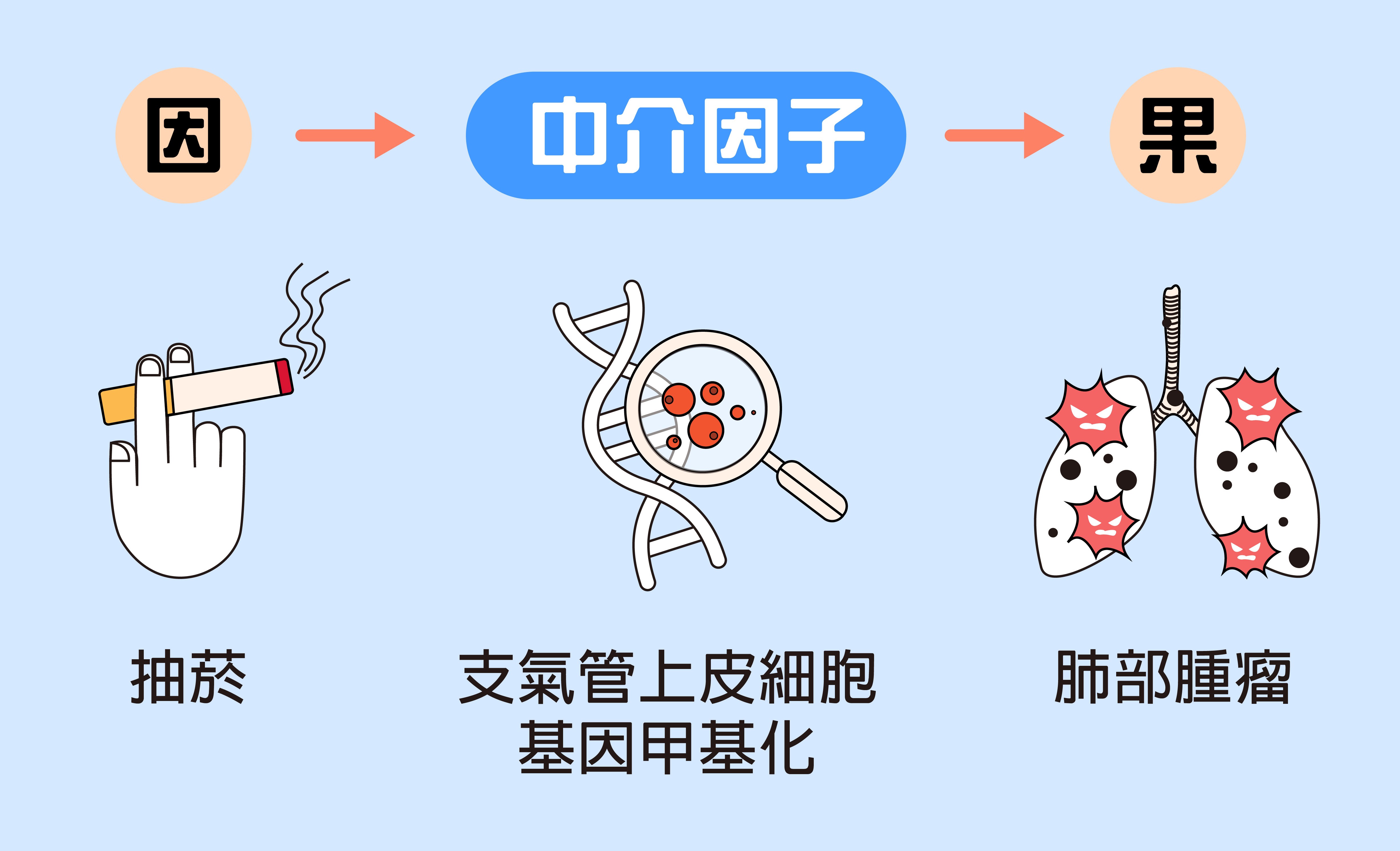 PPT - 兒童血液系統PowerPoint Presentation, free download - ID:3493238, image size:4898x2978
