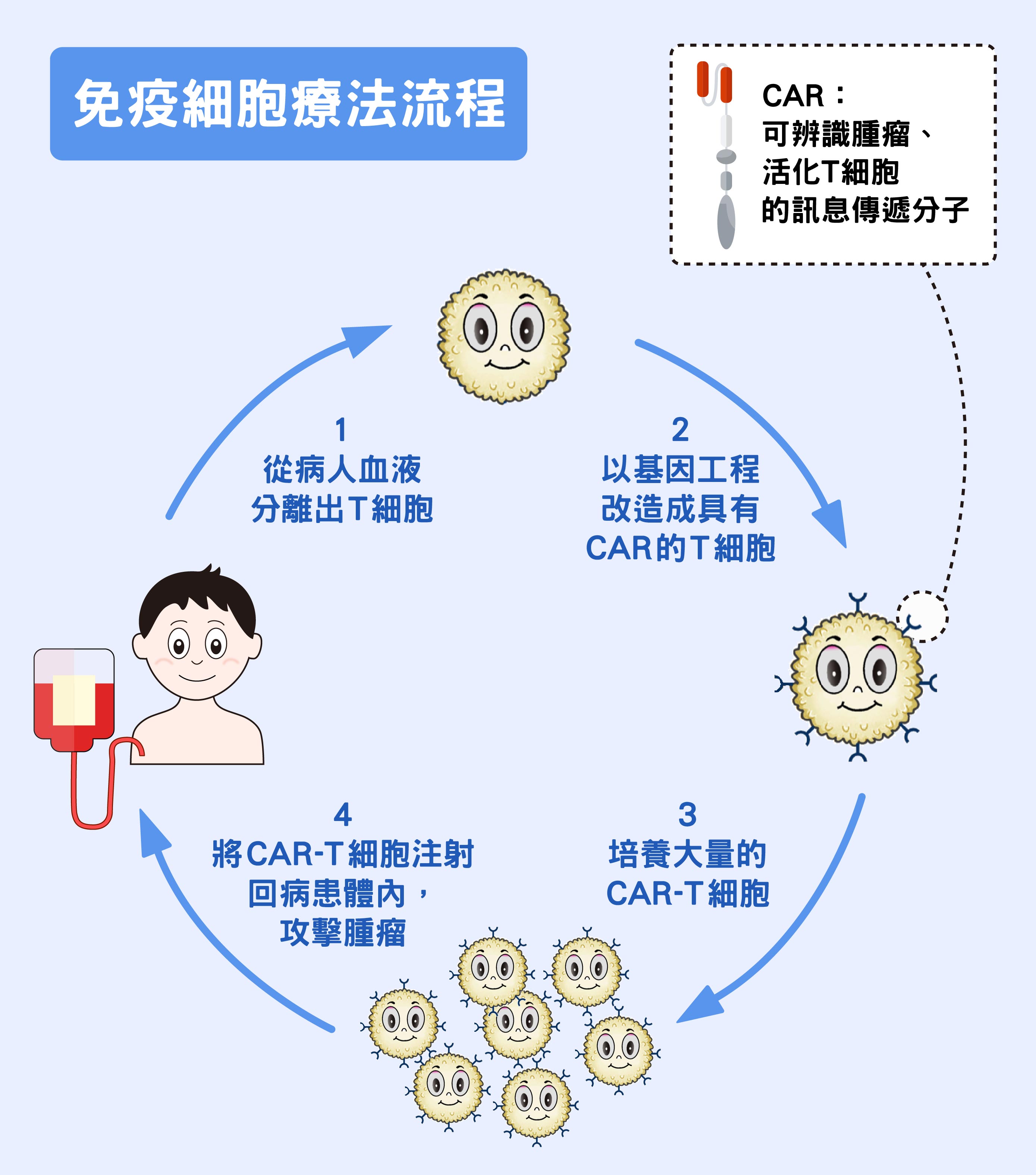 瑞氏染色人血涂片生物实验用显微镜标本红白血球清晰显像, image size:2778x3150