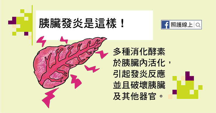 胰臟位在哪?有哪些功能?讓人痛不欲生的胰臟炎 - PanSci 泛科學