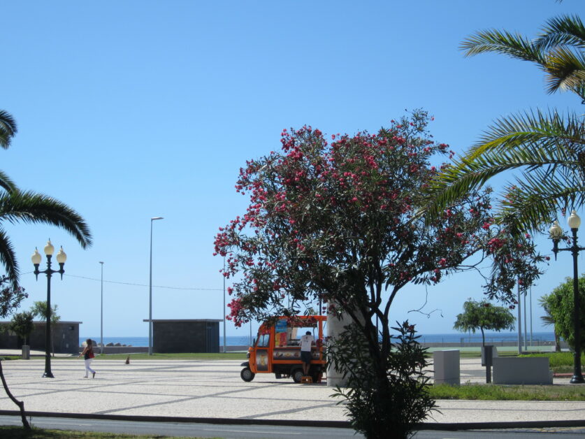 植物中的有毒成份 尼古丁比氰化物毒性更強 改變世界的碳元素 Pansci 泛科學